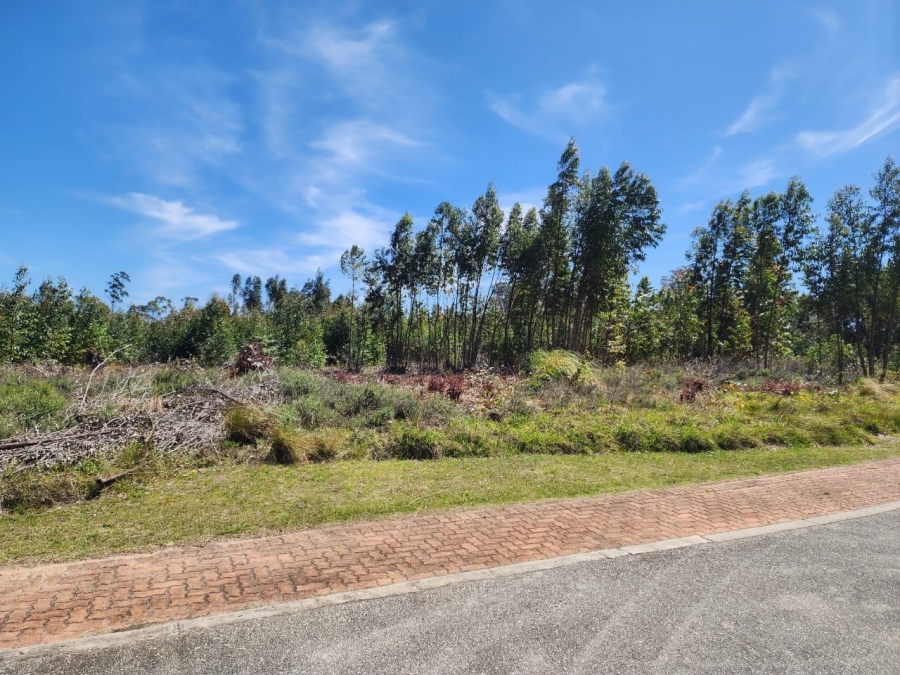 Commercial Property for Sale in Wedgewood Golf Estate Eastern Cape